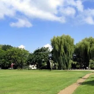 Douglas Park Runners cover
