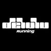 DELULU RUNNING. cover