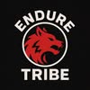 Endure Tribe running club in Wolfsburg, Germany