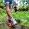 SALOMON running.SAX running club in Dresden, Germany