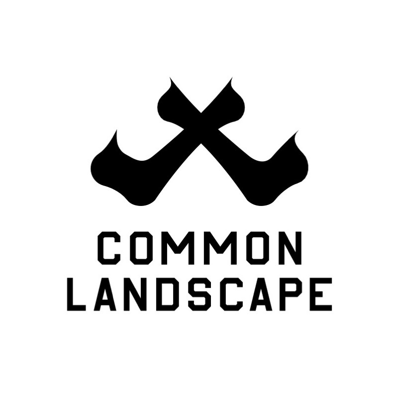 Common Landscape image 2