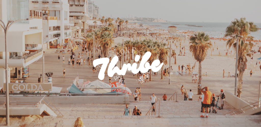 Thribe Tel Aviv cover