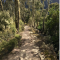 Biv Dunedin Trail Runners running club in Dunedin, New Zealand