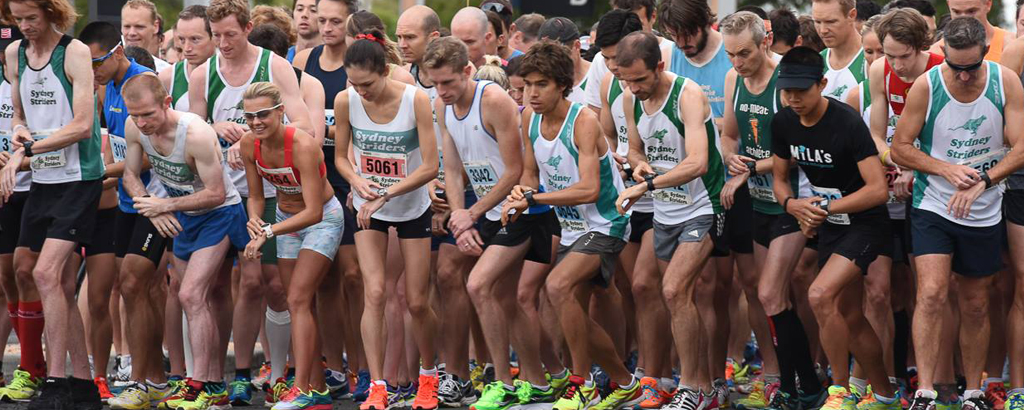 Sydney Striders cover